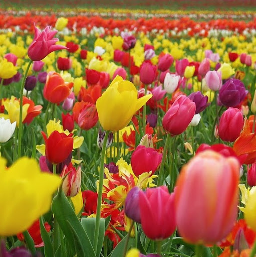 Michelle Durham Photo 22