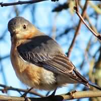 Janet Kiser Photo 17