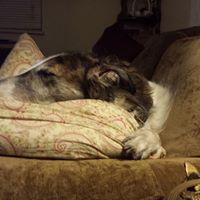 Bruce Whiting Photo 6