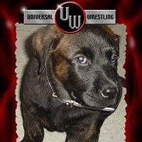 Philip Arthur Photo 16