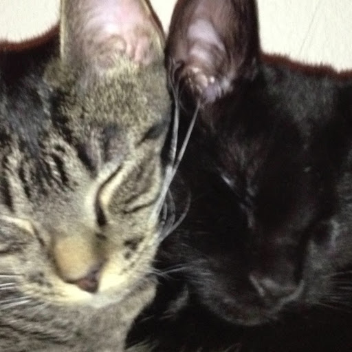 Kristi Lucas Photo 8