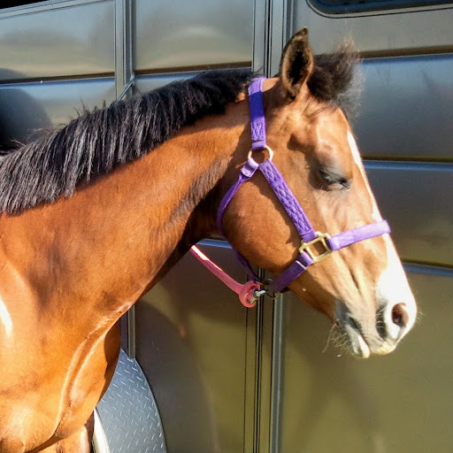 Kathy Kramer Photo 16