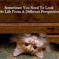 Linda Peterson Photo 23 Linda Peterson Photo 23