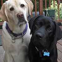 Frank Harmon Photo 8