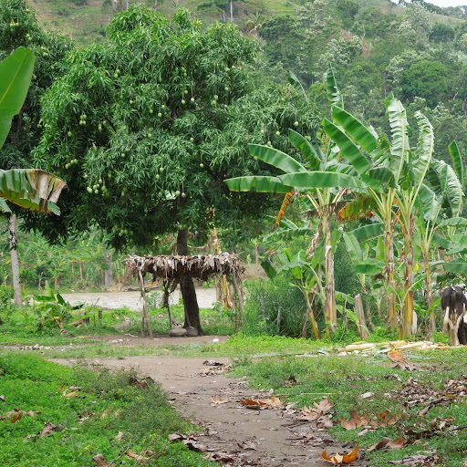 Kelley Hall Photo 40