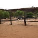 Kathleen Yard Photo 8