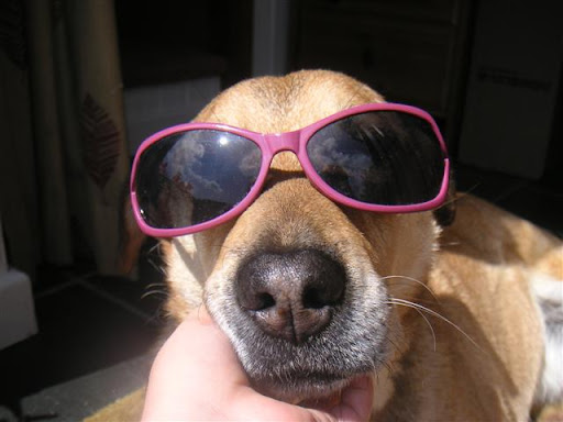 Ruth Weston Photo 37