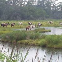 Richard Benjamin Photo 32