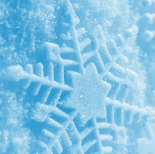 Kelly Snow Photo 17