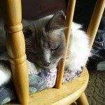 Janie May Photo 14