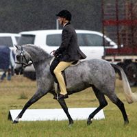 Dianne Proctor Photo 30