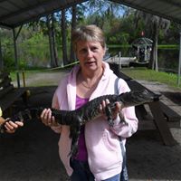 Judy Mccann Photo 8