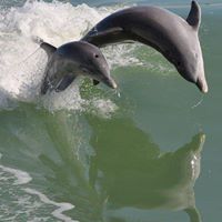 Phyllis Murray Photo 14