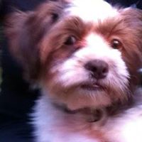 Susan Keegan Photo 19