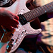 Steve Rutledge Photo 43