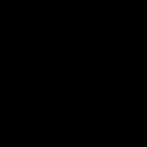 Randy Nguyen Photo 43