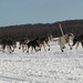 Marshall Dewolfe Photo 3