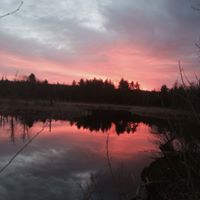 Shirley Whitaker Photo 7