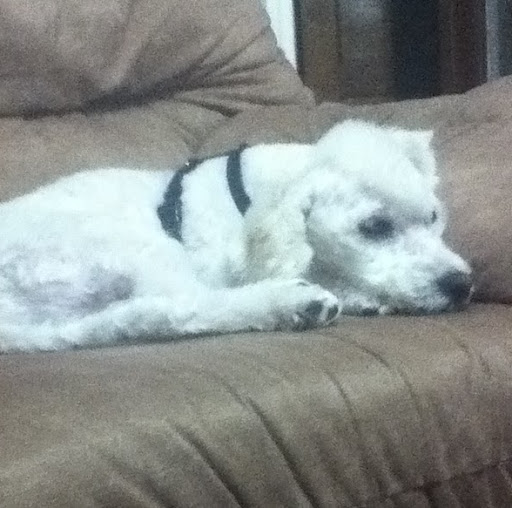 Ana Perdomo Photo 15