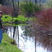 Kathleen Conn Photo 10