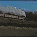 Robert Riddle Photo 21