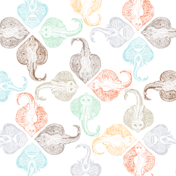 Robert Macarthur Photo 17