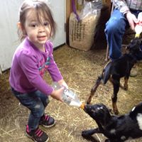 Elizabeth Johns Photo 23