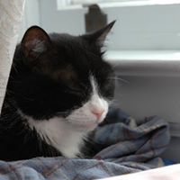 Kathleen Tuttle Photo 12