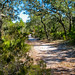 Rosemary Johnson Photo 29