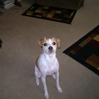 Nancy Massa Photo 11