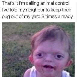 Nicholas Rosales Photo 3