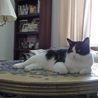 George Davis Photo 10