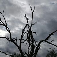 Michael Boyer Photo 51