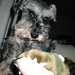 Cynthia Hsu Photo 12