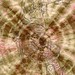 Cynthia Murdock Photo 33