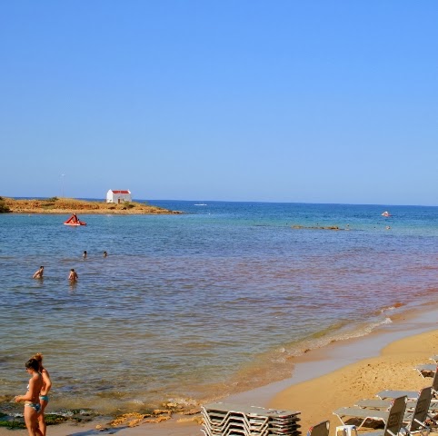 Dave Smiley Photo 14