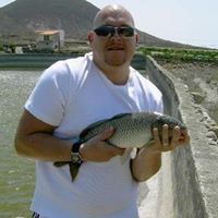 Mark Summers Photo 19