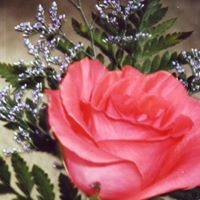 Debra Randall Photo 9