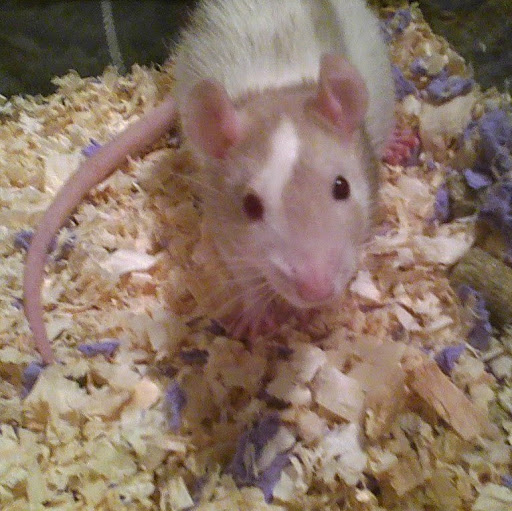 Darwin Rader Photo 2