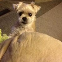 Dawn Trantham Photo 7