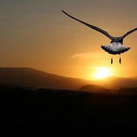 Cesar Arias Photo 34