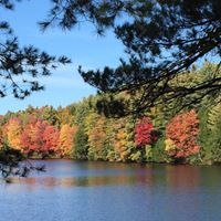 Vicki Treat Photo 15