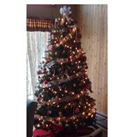 Donna Pitts Photo 37