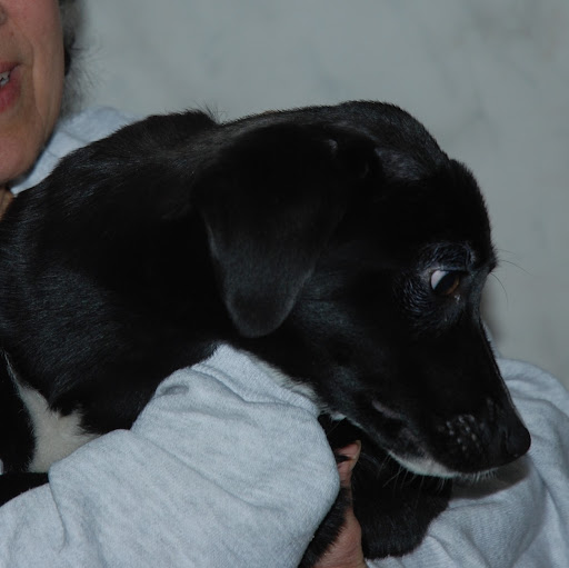 Janice Newcomb Photo 20