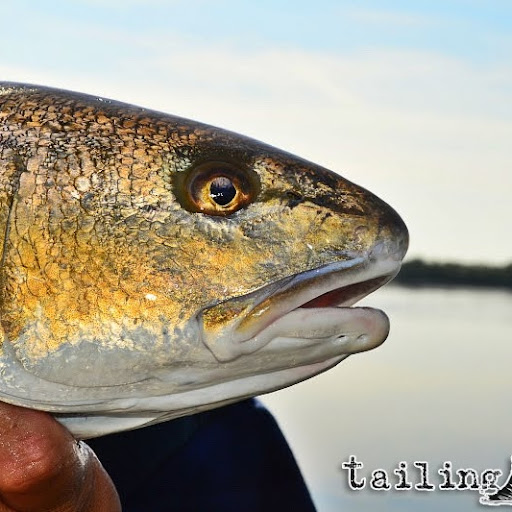 Eric Estrada Photo 22