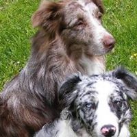 Anita Douglass Photo 1