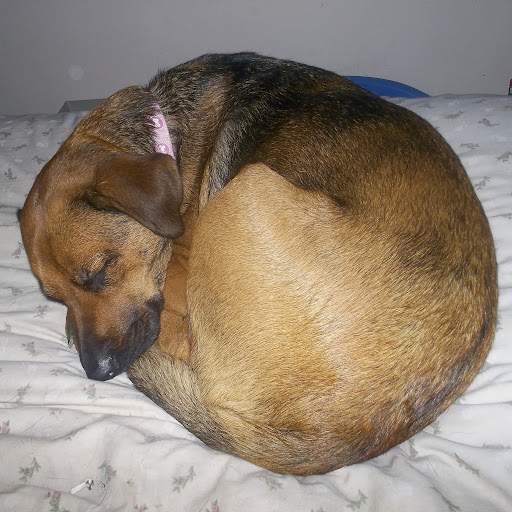 Charlene Osborne Photo 12