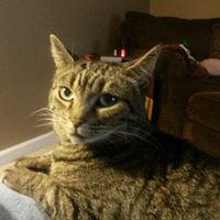 Jennifer Ragan Photo 16