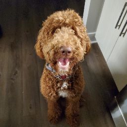 Michael Owens Photo 54