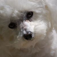 Janet Kessler Photo 30